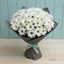 Букет цветов из:  Хризантемы в Войновой-Горе