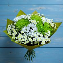 Букет цветов из:  Хризантемы #REPLACE_PRED# Войновой-Горе